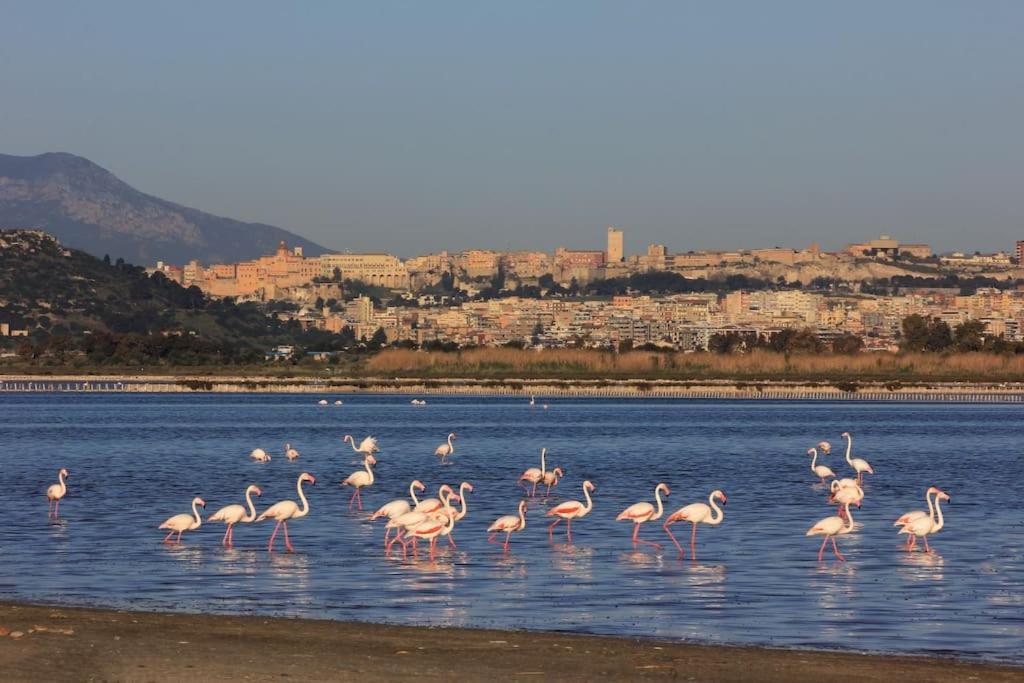 La Casa Al Poetto - Iun R0135 Διαμέρισμα Quartu SantʼElena Εξωτερικό φωτογραφία